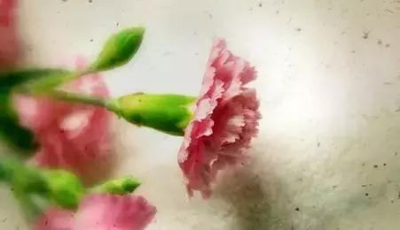 心怀善意，仁者爱人