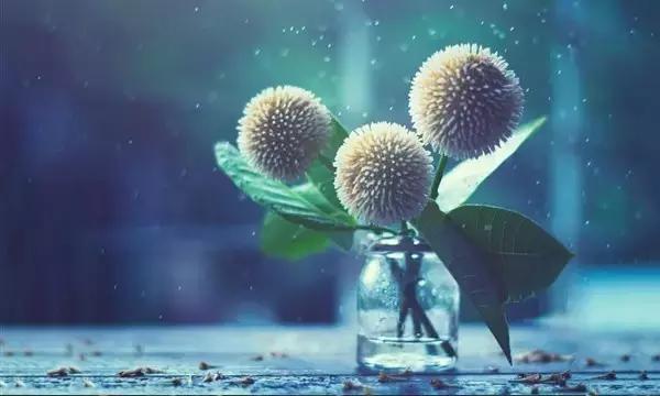 未来的岁月，经营好自己
