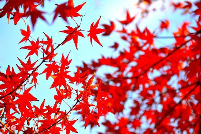 没流泪，不代表没眼泪；无所谓，不代表无所累