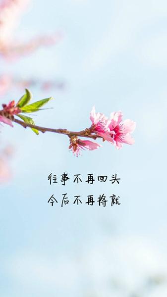 八个句子，往事不再回头