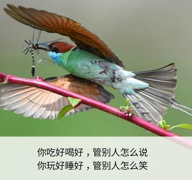 一辈子这么短，咱活着图个啥？