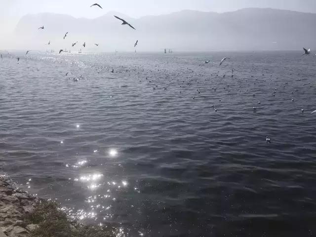 生活，贵在心境平和