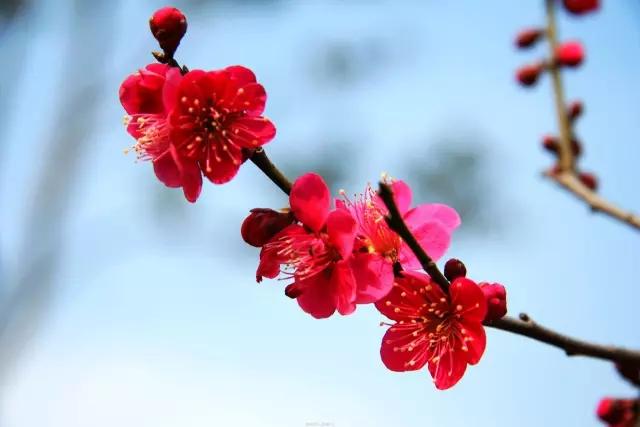 人这辈子，无论做什么，都要铭记这几条
