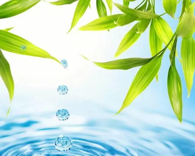 与其为昨日的烦恼忧心，为将来的迷茫困扰，不如好好把握今天！