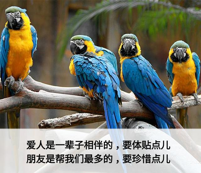 一辈子这么短，咱活着图个啥？
