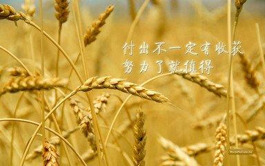 机会，抓住了是机遇，抓不住是遗憾