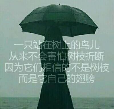 坚持一个“没问题”的理由