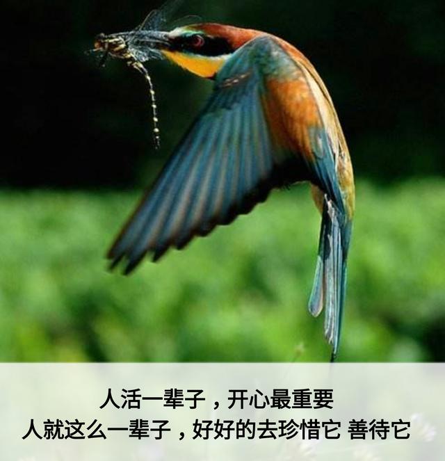 一辈子这么短，咱活着图个啥？