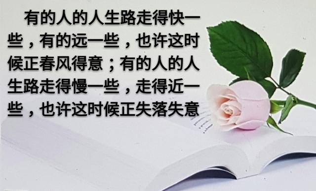 人和人之间，为什么变得越来越淡？