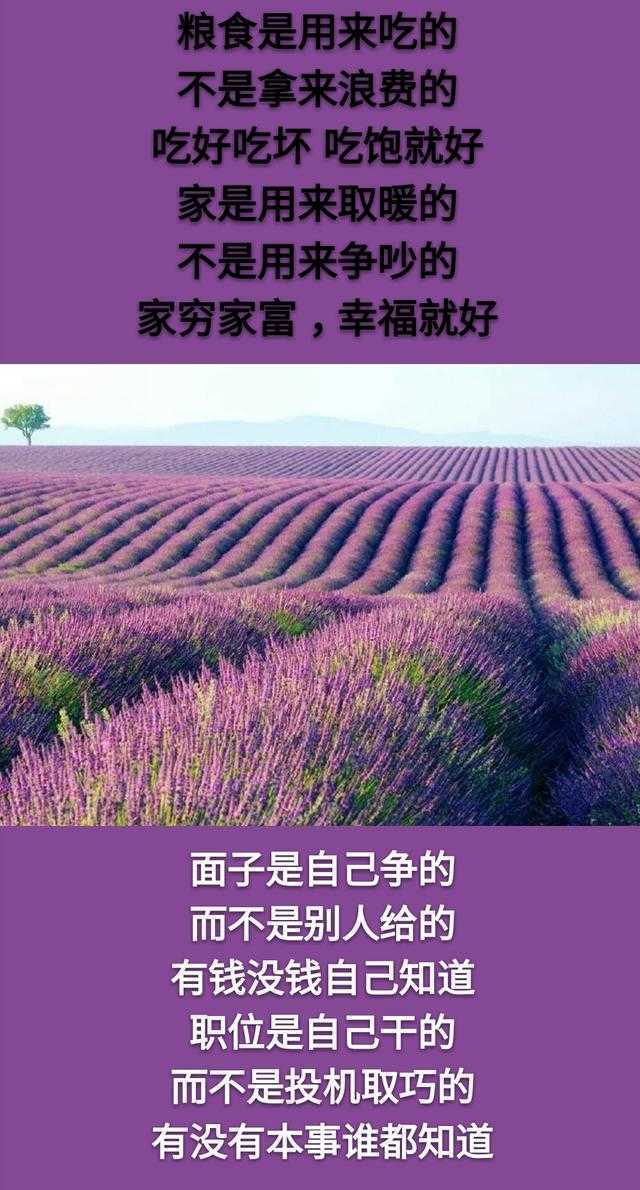 有没有钱，自己知道；有没有本事，谁都知道「句句精辟」