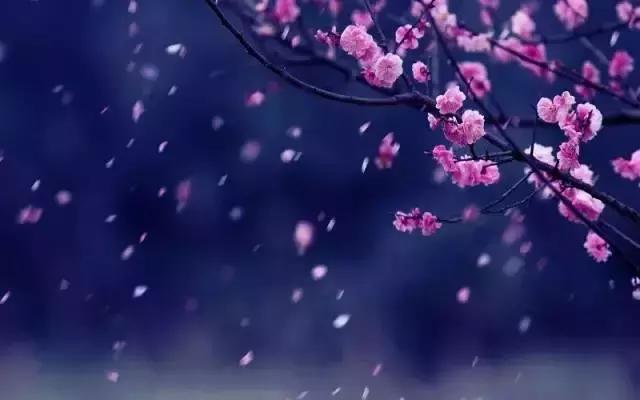 忍一忍，春暖花开；让一让，柳暗花明