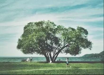 人的成熟，不是年龄，而是心态