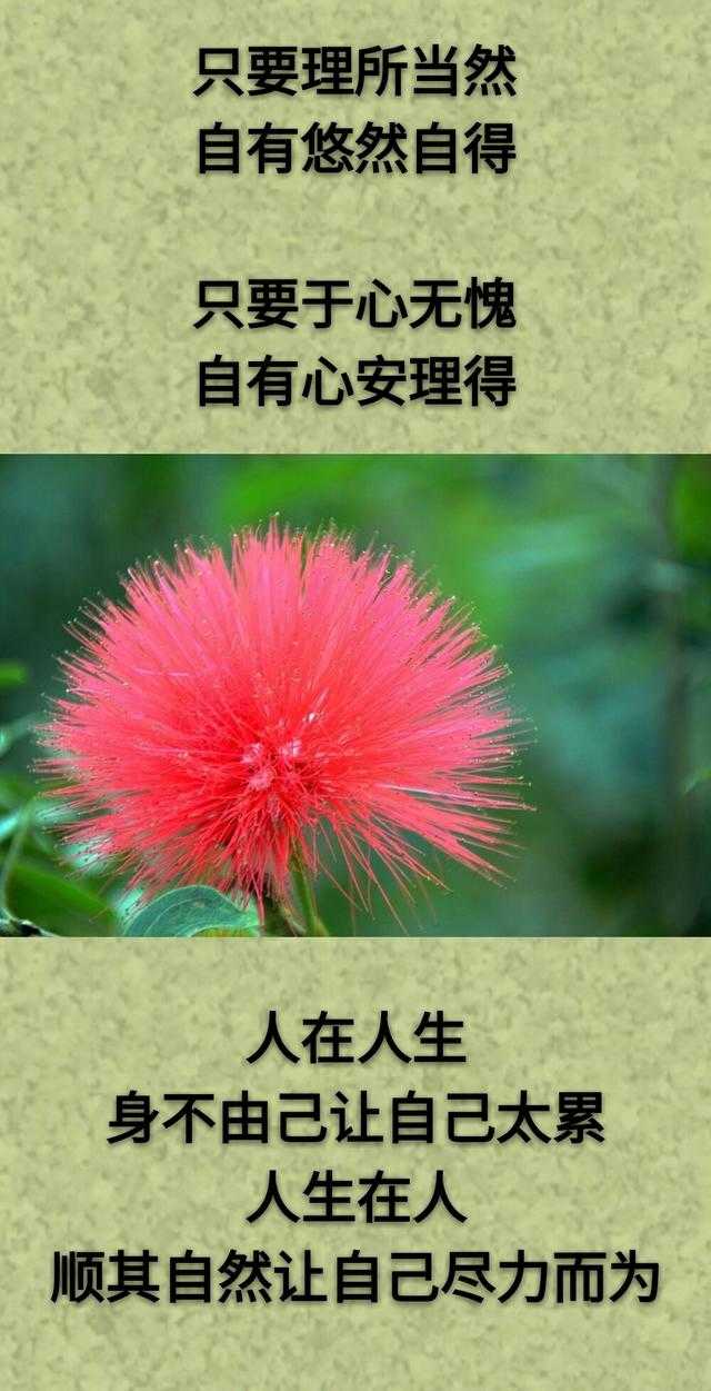 想：哭了有人慰，累了有人靠；但：生活得自己忙，眼泪得自己擦