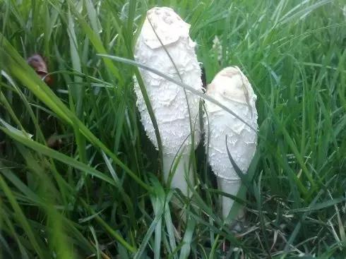 真正爱自己，才是此生最大的醒悟