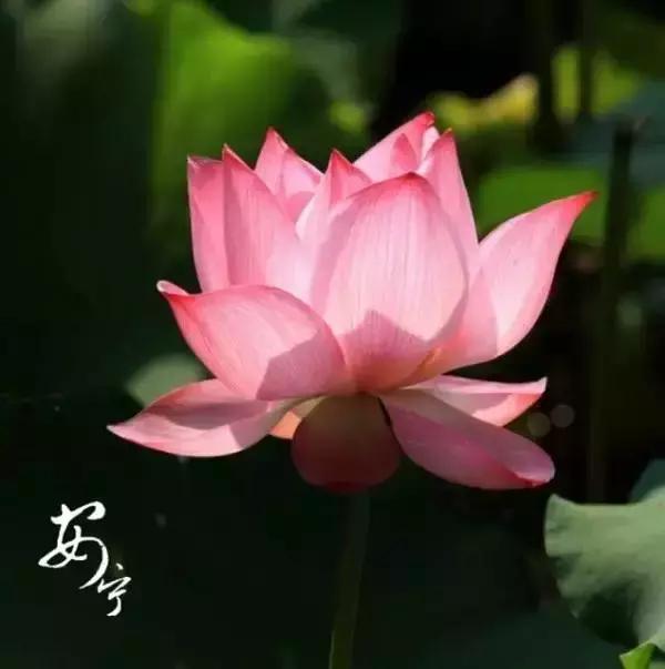 忍一忍，春暖花开；让一让，柳暗花明