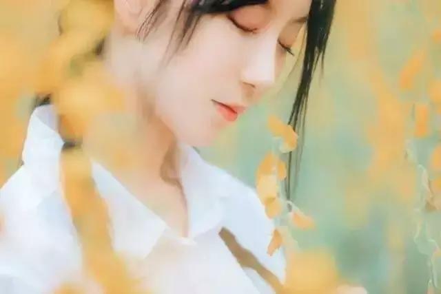 你若安好，我便不再打扰
