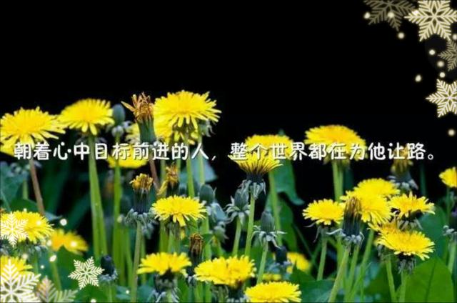做人还是随心的好，任何的收获不是巧合