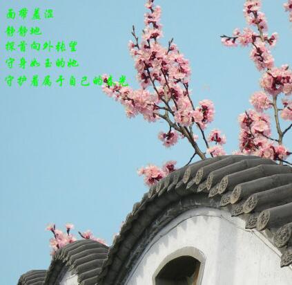 生活不易，却仍放不下这四件事（人活得累的四个根源）