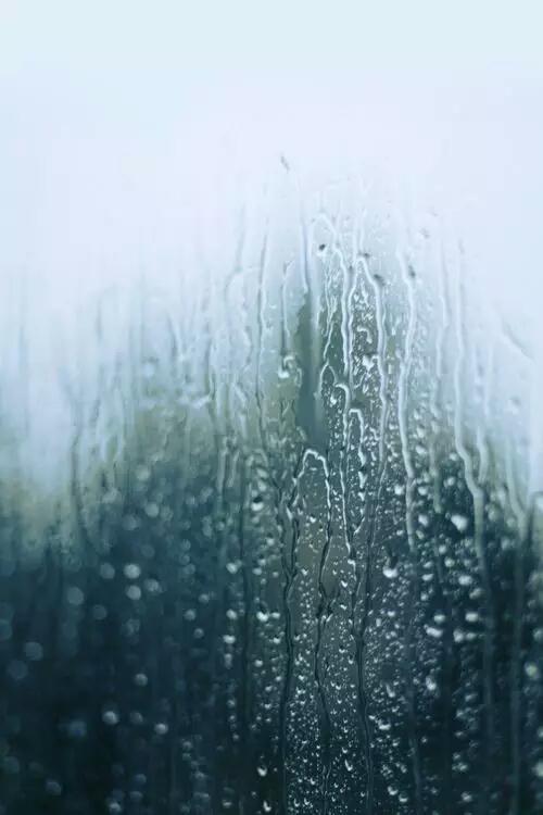 今日语录：愿你活得潇洒