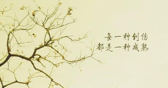 其实谁的生活都多少有点苦涩