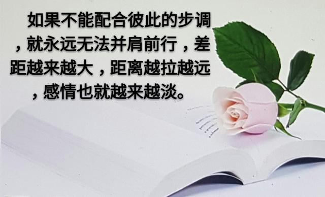 人和人之间，为什么变得越来越淡？