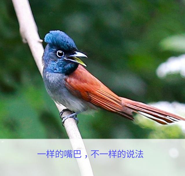 一辈子这么短，咱活着图个啥？