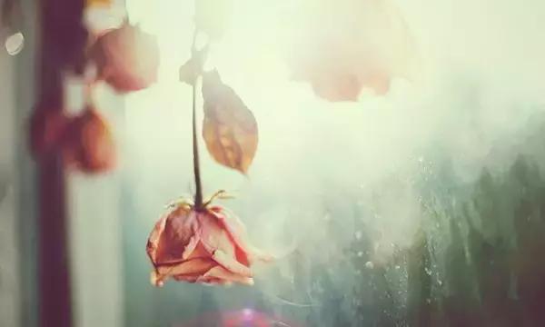 别忘了曾经帮过你的人