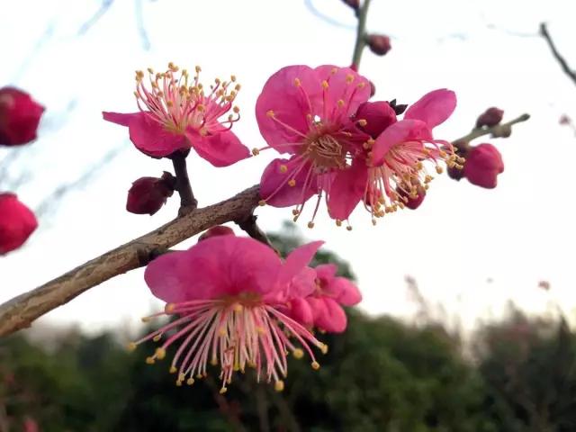 人这辈子，无论做什么，都要铭记这几条