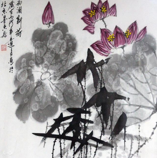 人生：舍得，舍得，舍得，舍得，舍得，舍得，舍得，舍得