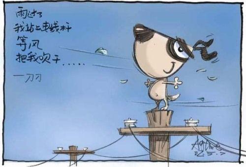 有些人，狠一狠，就忘记了；有颗心，伤一伤，就坚强了