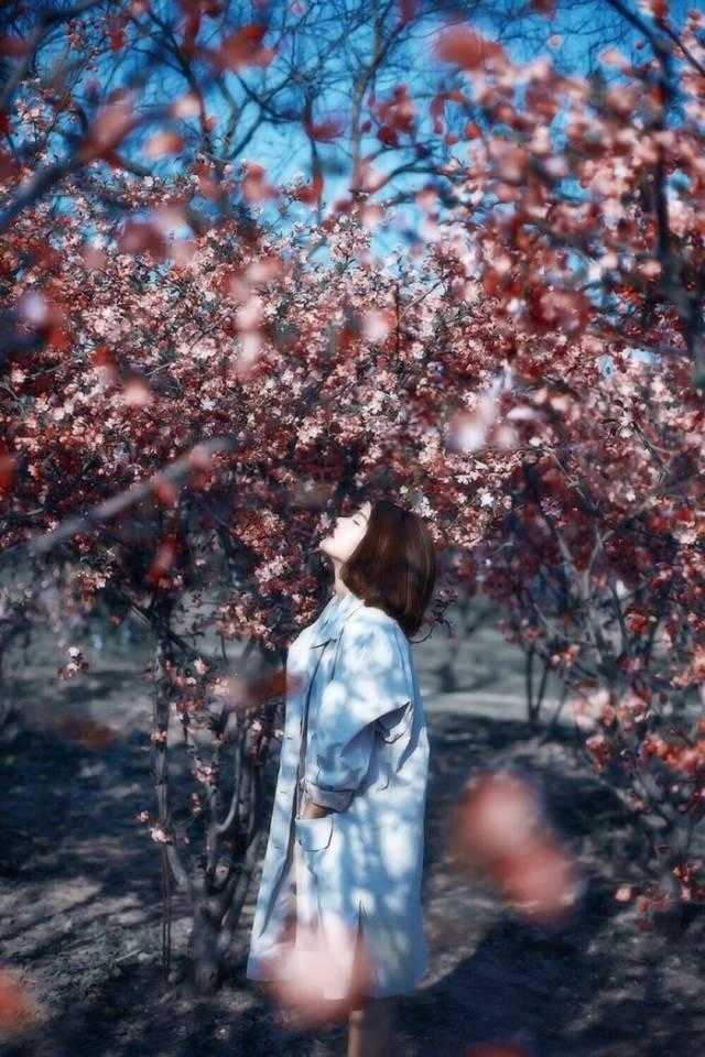 且敬往事一杯酒，愿无岁月可回头