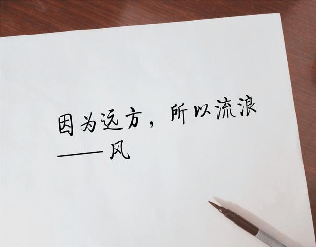 新句子，新感悟，发朋友圈很棒！