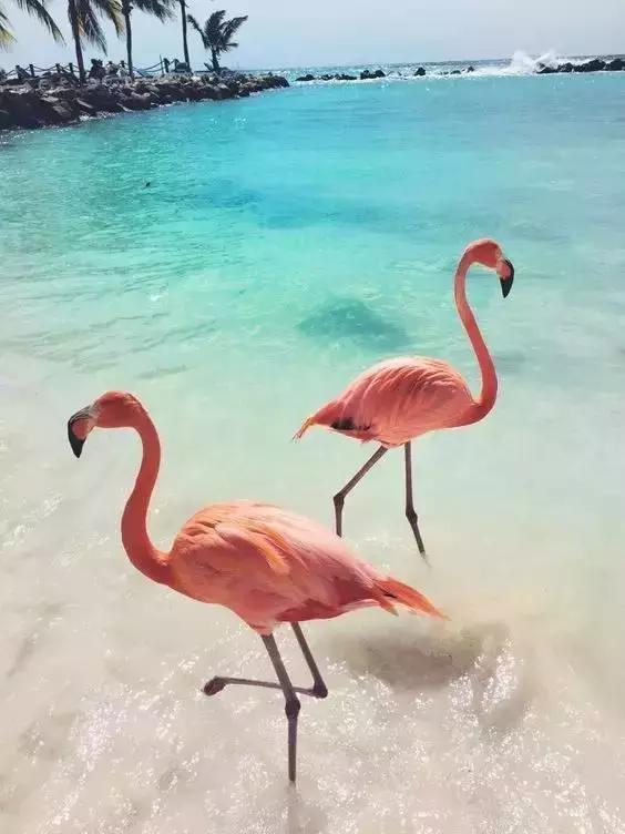 有时候，我们并非走出了伤痛，不过是学会了带着伤痛继续生活