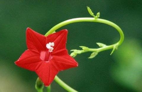 人生，懂知足