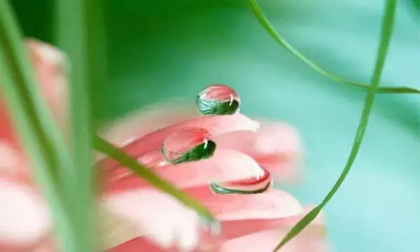 如果，我们只能活一天