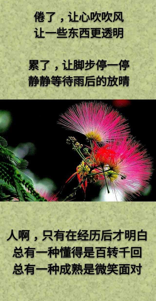 想：哭了有人慰，累了有人靠；但：生活得自己忙，眼泪得自己擦