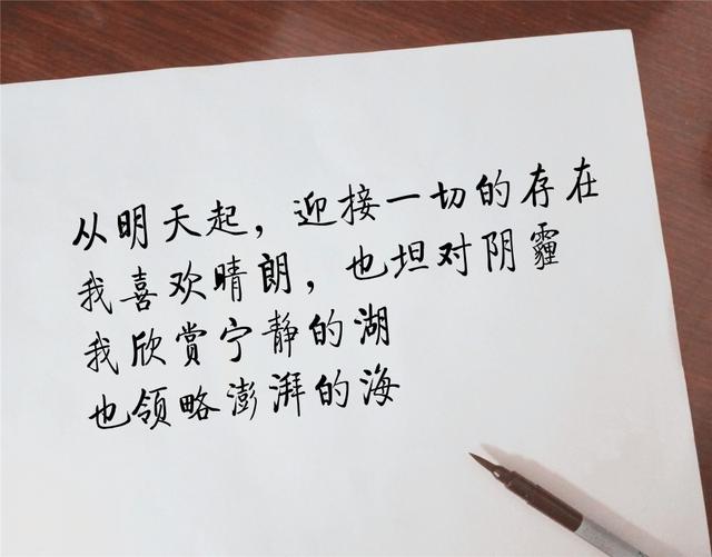 想说的很多，却常常拗不过沉
