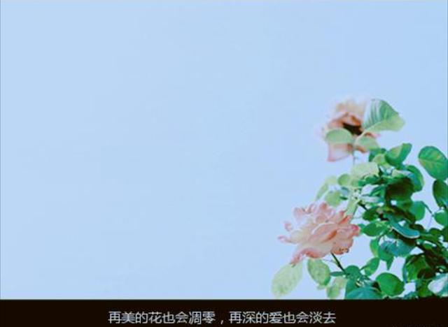 成长像滚雪球，越滚越重