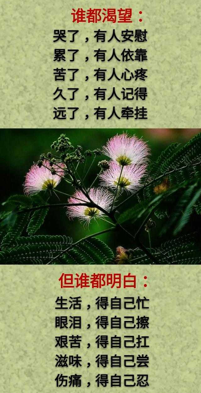 想：哭了有人慰，累了有人靠；但：生活得自己忙，眼泪得自己擦