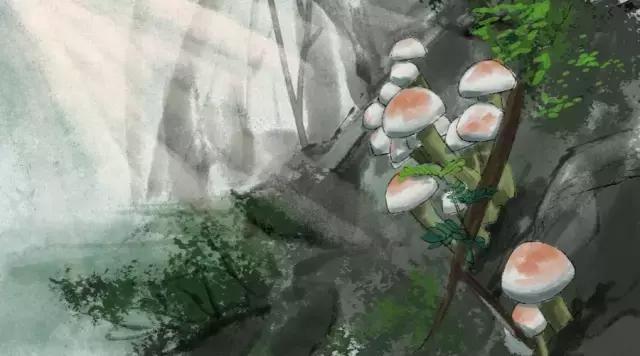 生活，简单也是幸福