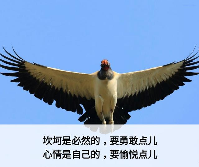 一辈子这么短，咱活着图个啥？