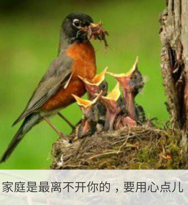 一辈子这么短，咱活着图个啥？