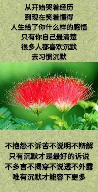 想：哭了有人慰，累了有人靠；但：生活得自己忙，眼泪得自己擦