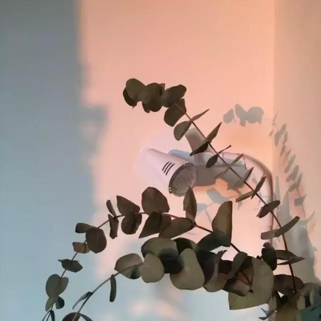 很多烦恼，源于内心不够硬不够狠