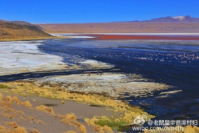 坚持到底是怎样一个东东