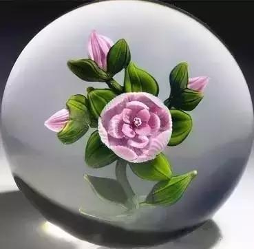 世界上最好的“长寿药”