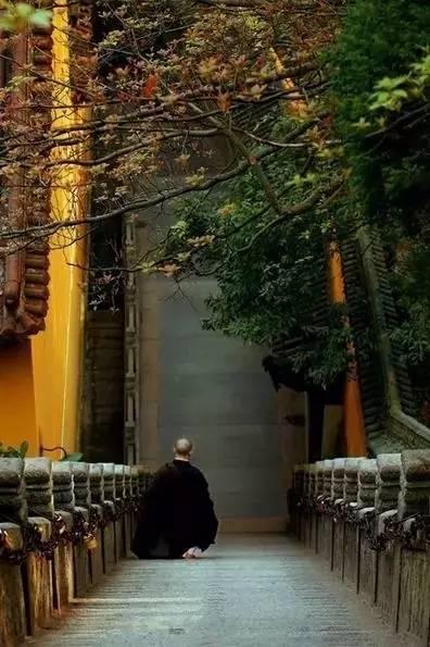 距离 = 尊重（精辟）