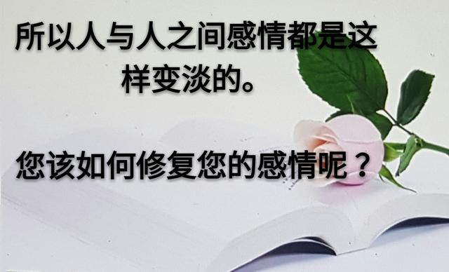 人和人之间，为什么变得越来越淡？