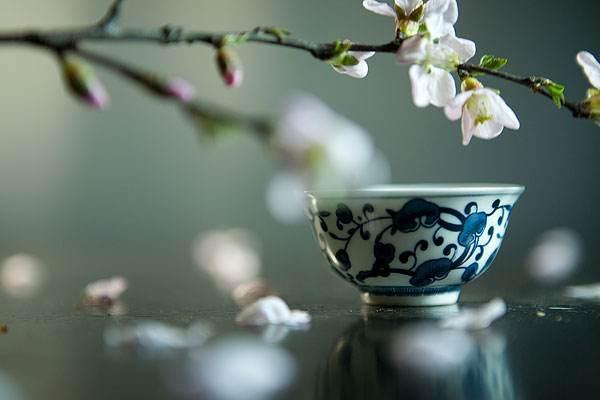 试探，人性的弱点，是一种愚蠢