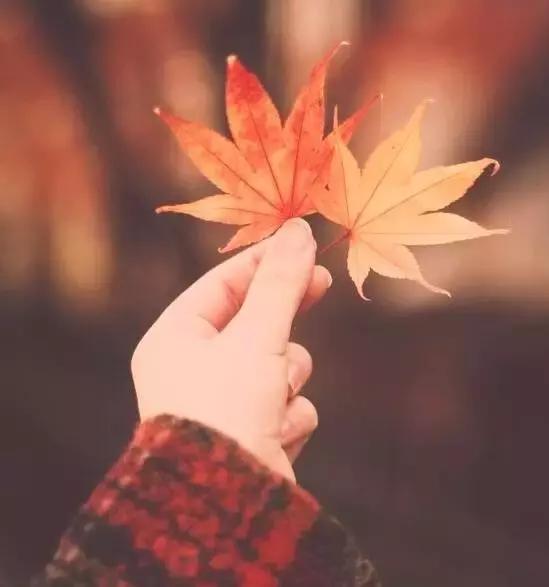 你的好运 从哪里来？